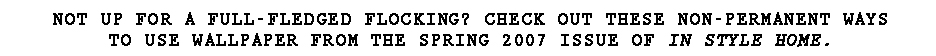 In Style Home, Spring 2007- Off the Wall Page 53